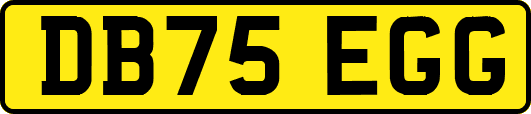 DB75EGG