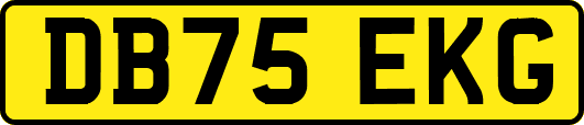 DB75EKG
