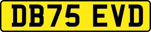 DB75EVD