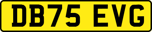 DB75EVG