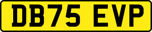 DB75EVP