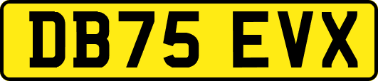 DB75EVX