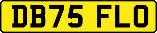 DB75FLO