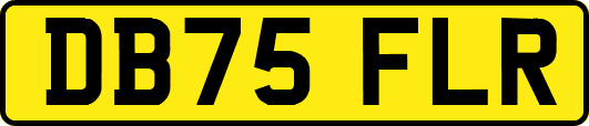 DB75FLR