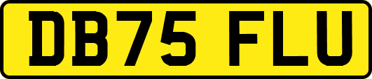 DB75FLU