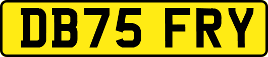 DB75FRY