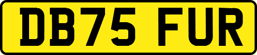 DB75FUR
