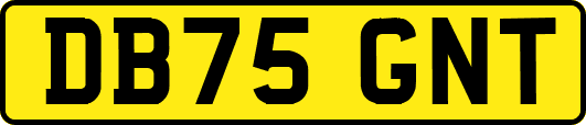DB75GNT