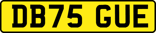 DB75GUE
