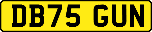 DB75GUN
