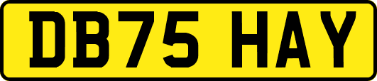 DB75HAY