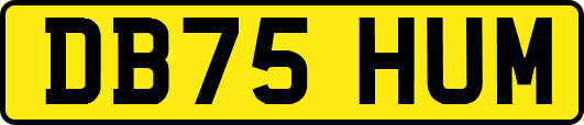 DB75HUM