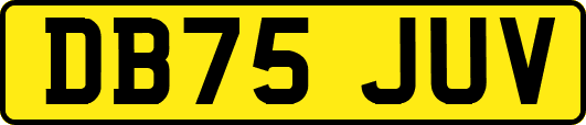 DB75JUV