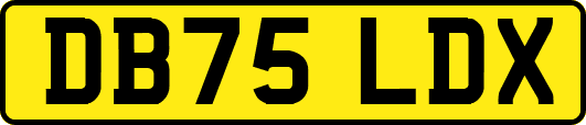 DB75LDX