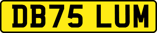 DB75LUM