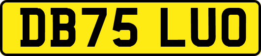 DB75LUO