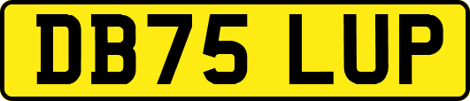 DB75LUP