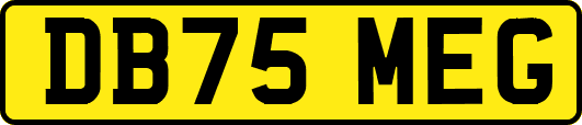 DB75MEG