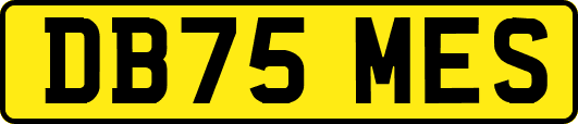 DB75MES