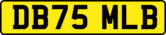 DB75MLB