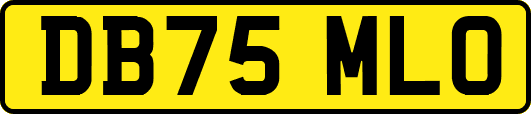 DB75MLO