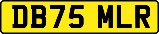 DB75MLR