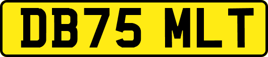 DB75MLT