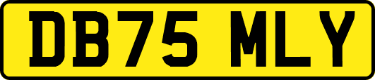DB75MLY