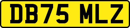 DB75MLZ