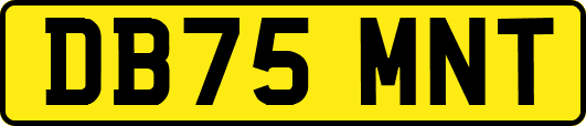 DB75MNT