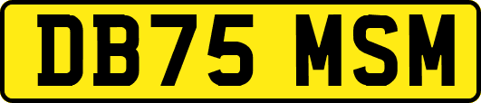 DB75MSM