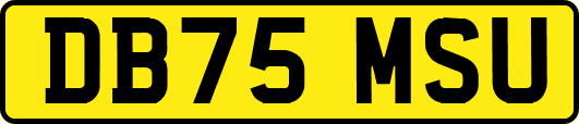DB75MSU
