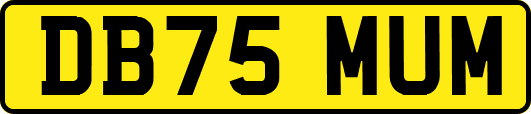 DB75MUM