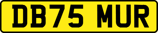 DB75MUR