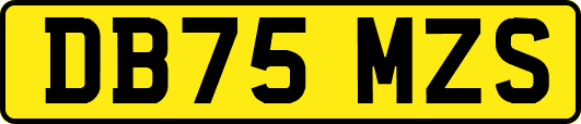 DB75MZS