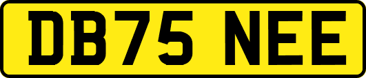 DB75NEE