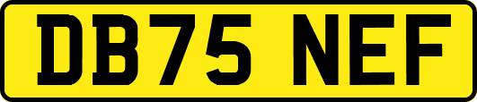 DB75NEF