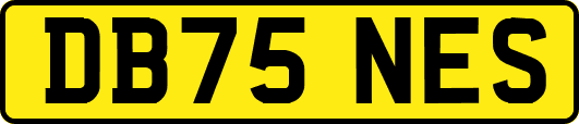 DB75NES