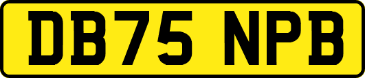 DB75NPB