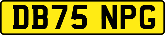 DB75NPG