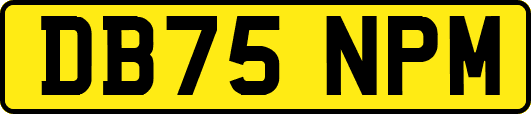 DB75NPM