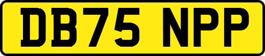 DB75NPP