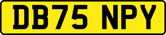 DB75NPY