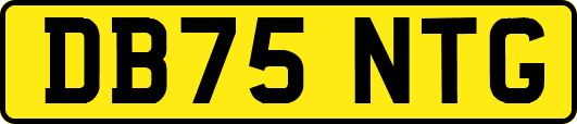 DB75NTG
