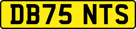 DB75NTS