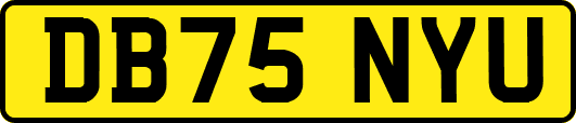 DB75NYU