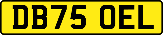 DB75OEL