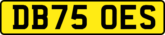 DB75OES