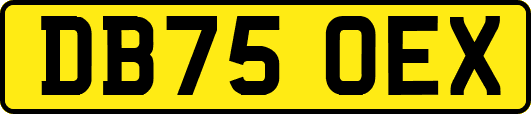 DB75OEX
