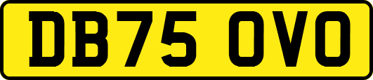DB75OVO